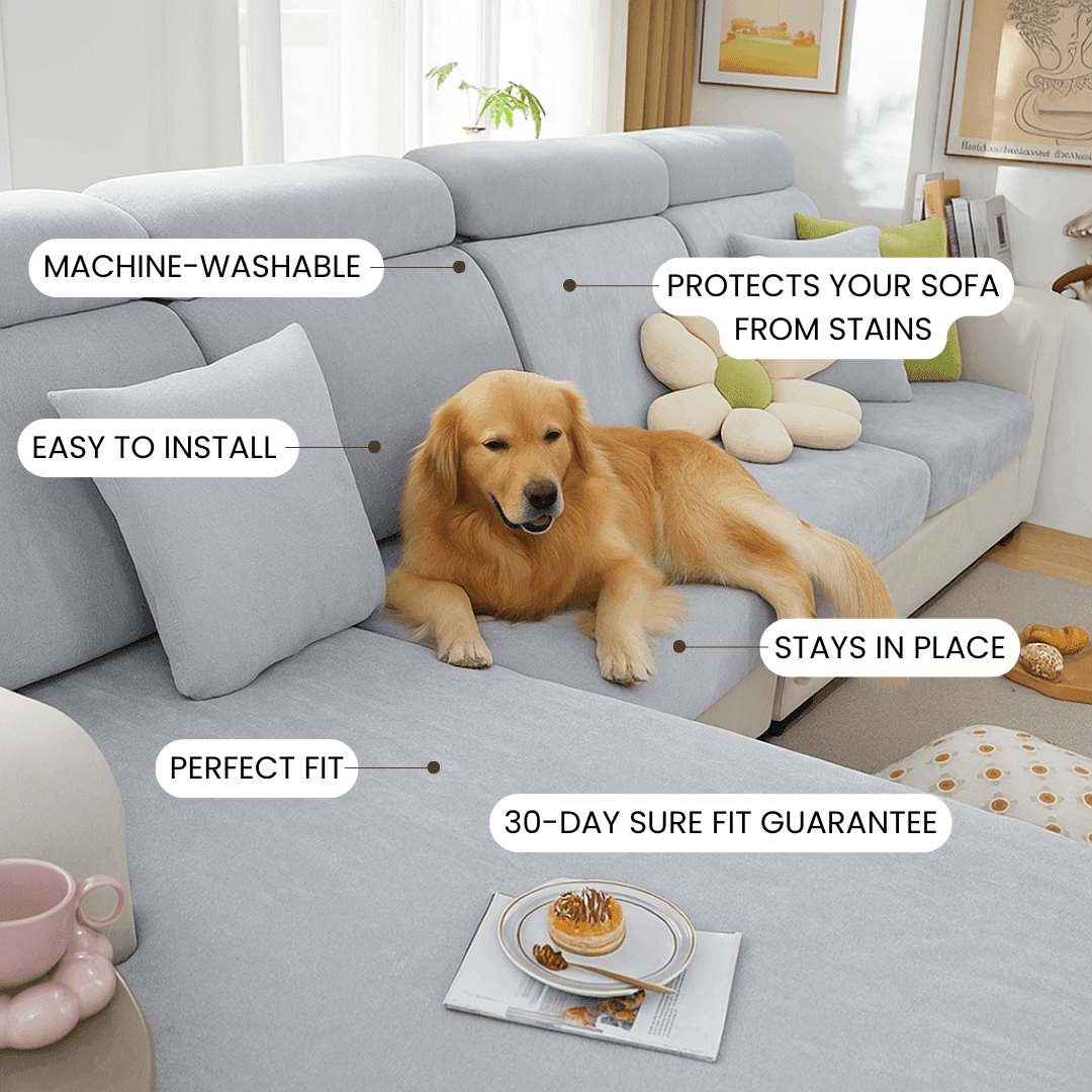 Cozee Chenille Sofa Cover featuring plush, textured fabric and a 4-way stretch-fit design that hugs the sofa for a smooth, secure fit. Offers full coverage protection against spills, pet fur, and everyday wear—perfect for cozy, pet-friendly homes.